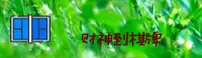 应用详情